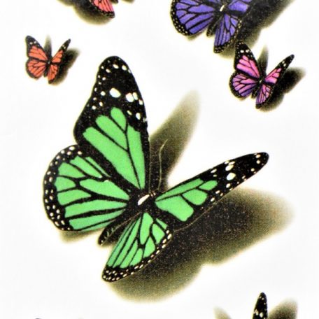 jolis papillons en tattoo ephemere