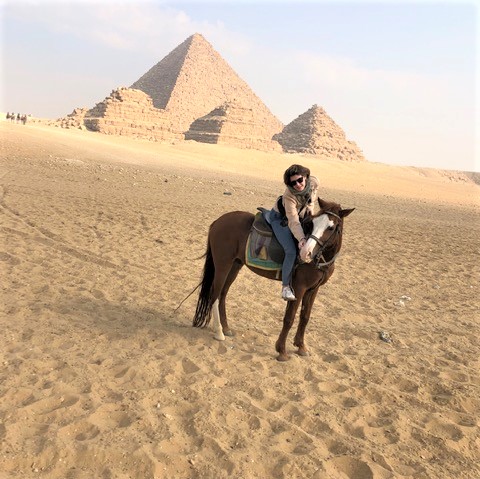 cheval pres des pyramides